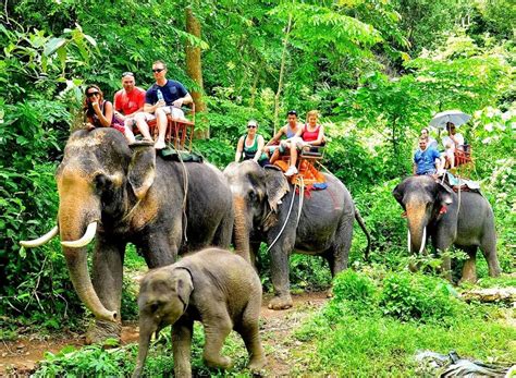 krabi elephant sanctuary